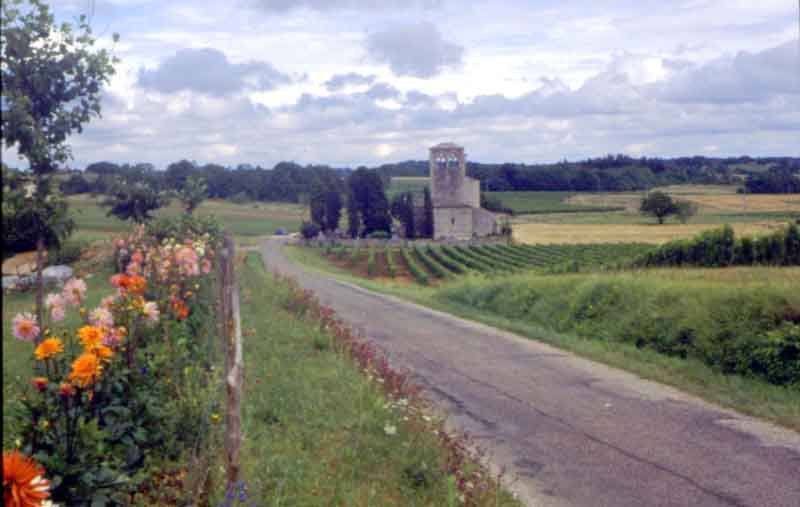 Part of the vineyards at Chateau Latuc