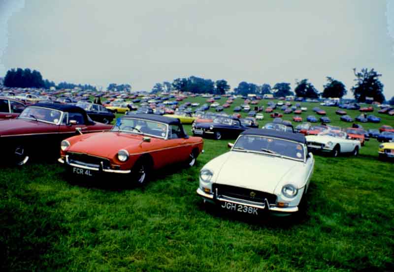 MGs as far as the eye can see
'Bee' in the middle distance